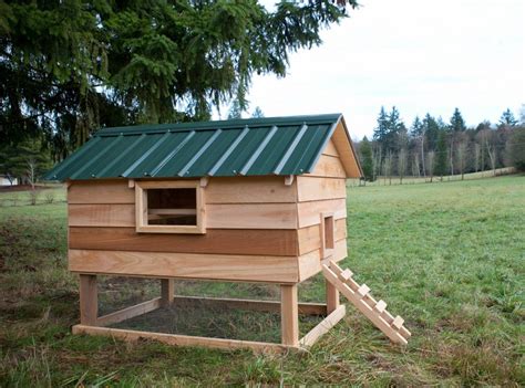 roofing for chicken coop